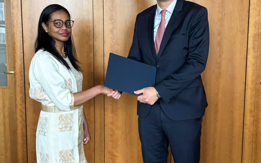 Hinterlegung der Ratifikationsurkunde für die Satzung der Internationalen Agentur für erneuerbare Energien (IRENA) durch Madagaskar